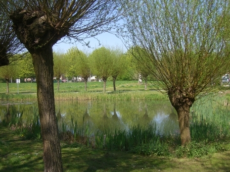 Nettetal-Hinsbeck : Ginkesweide, Skulpturenpark